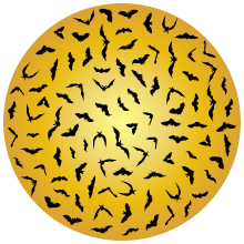 Bats in a Full Moon