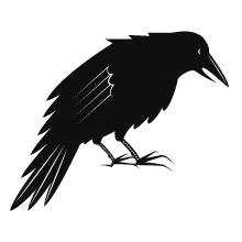 Black Crow