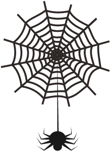 Spider Hanging from Web