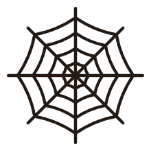Spider Web