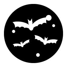 Full Moon with Bats